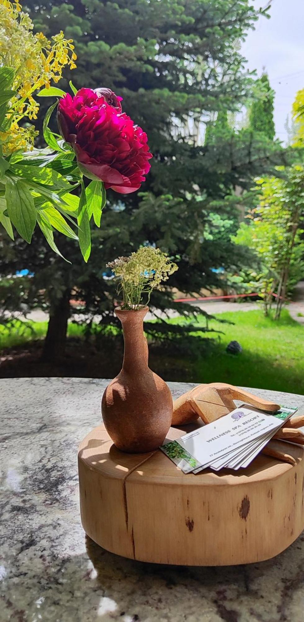 Aya Maria Wellness Spa Resort Dzoraghpʼyur Zewnętrze zdjęcie