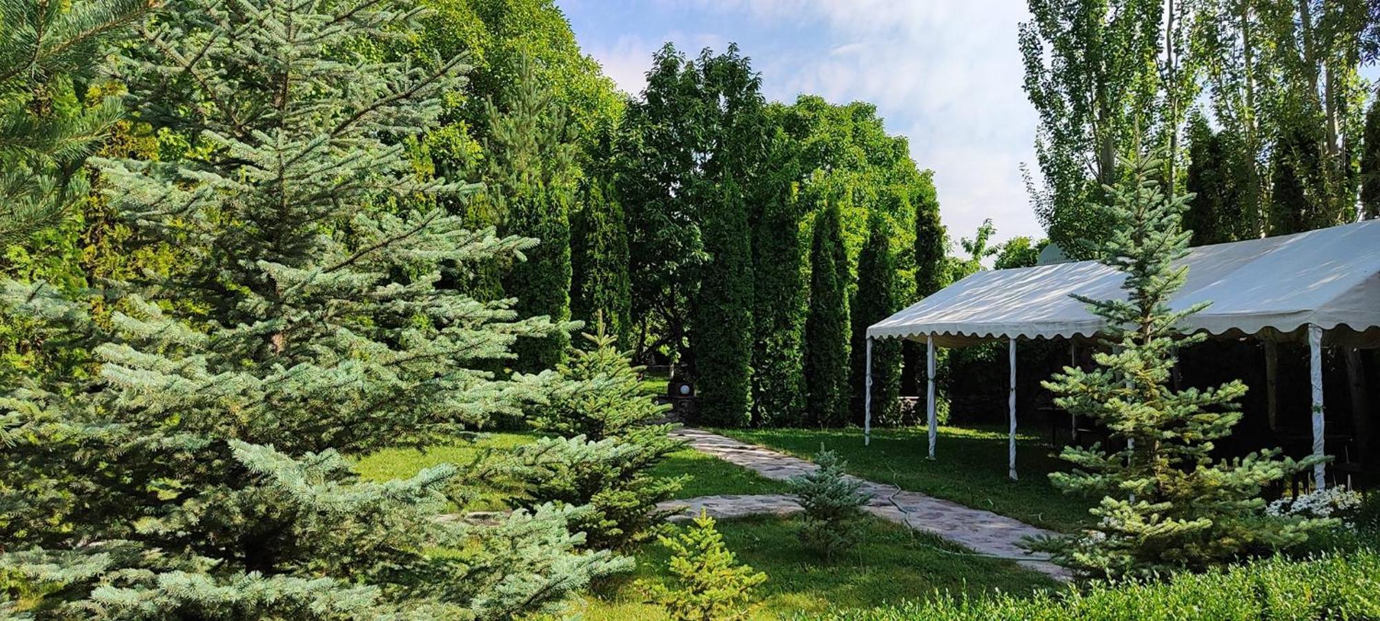 Aya Maria Wellness Spa Resort Dzoraghpʼyur Zewnętrze zdjęcie