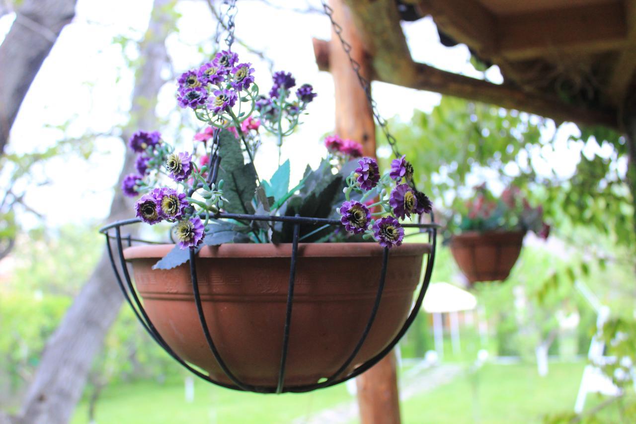 Aya Maria Wellness Spa Resort Dzoraghpʼyur Zewnętrze zdjęcie