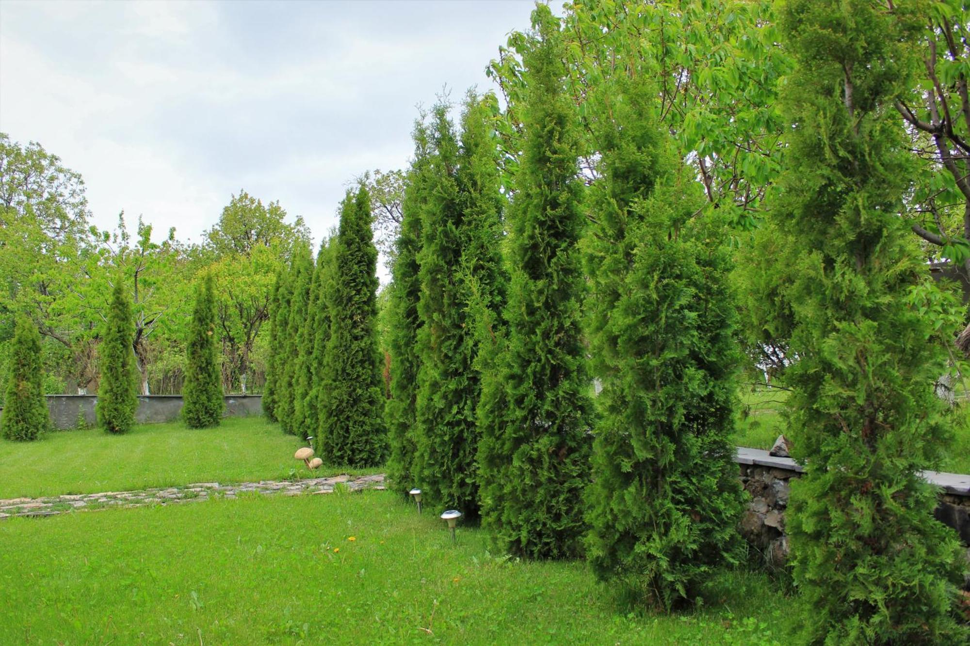 Aya Maria Wellness Spa Resort Dzoraghpʼyur Zewnętrze zdjęcie